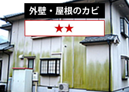外壁・屋根のカビ