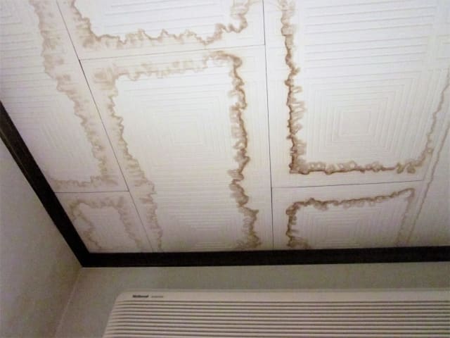 写真：雨漏りした天井