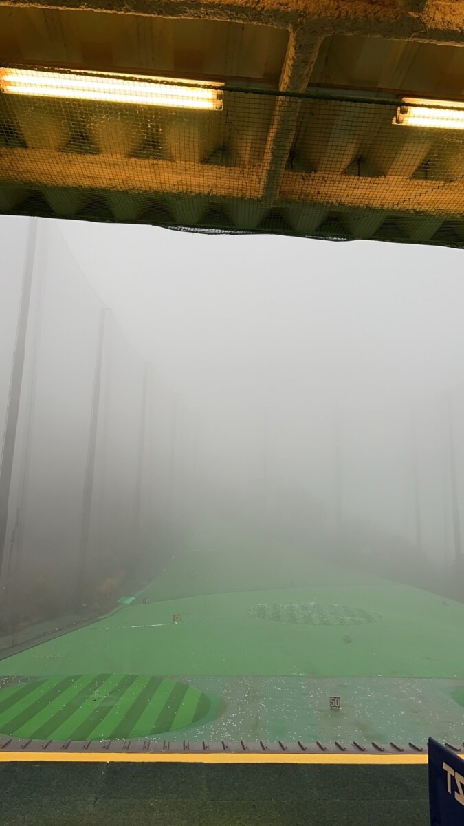 霧・・・( ﾉД`)