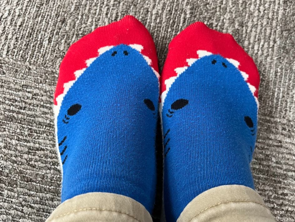 本日の靴下。