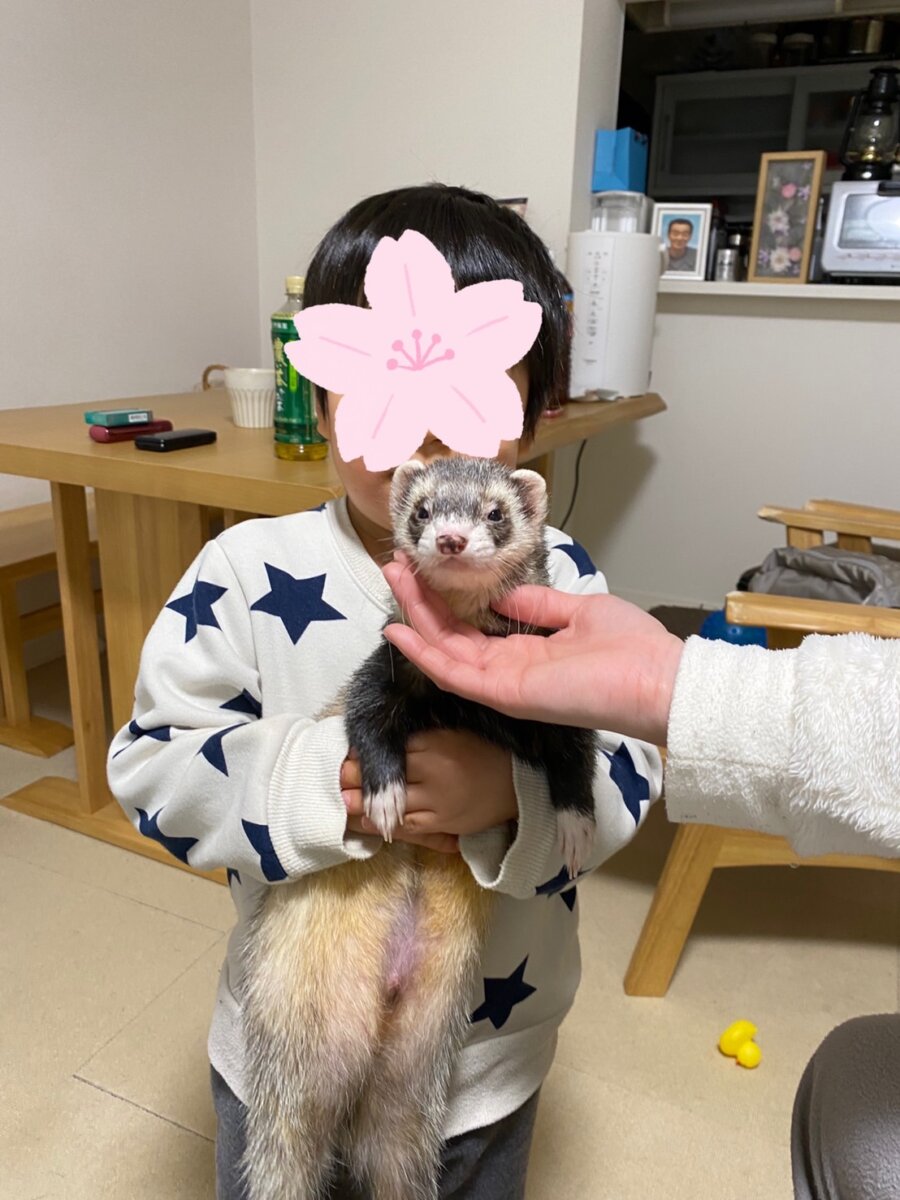 イタチ(*´ω｀*)♡
