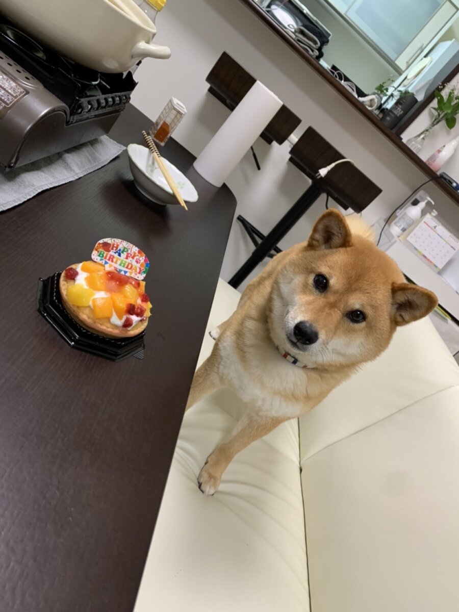 昨日のお祝いの写真です！