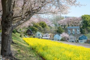 外壁塗装に最適な季節・時期はいつ？