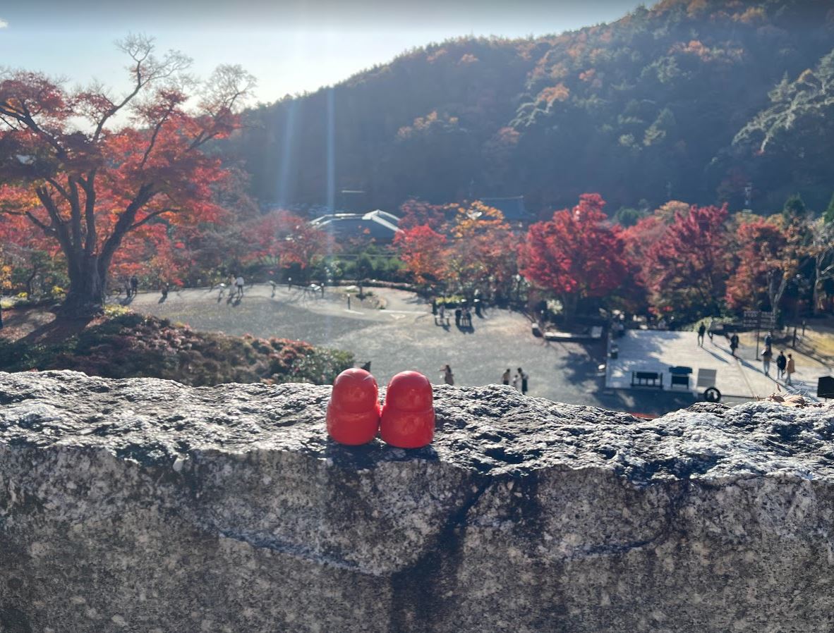 勝だるまの後ろ姿