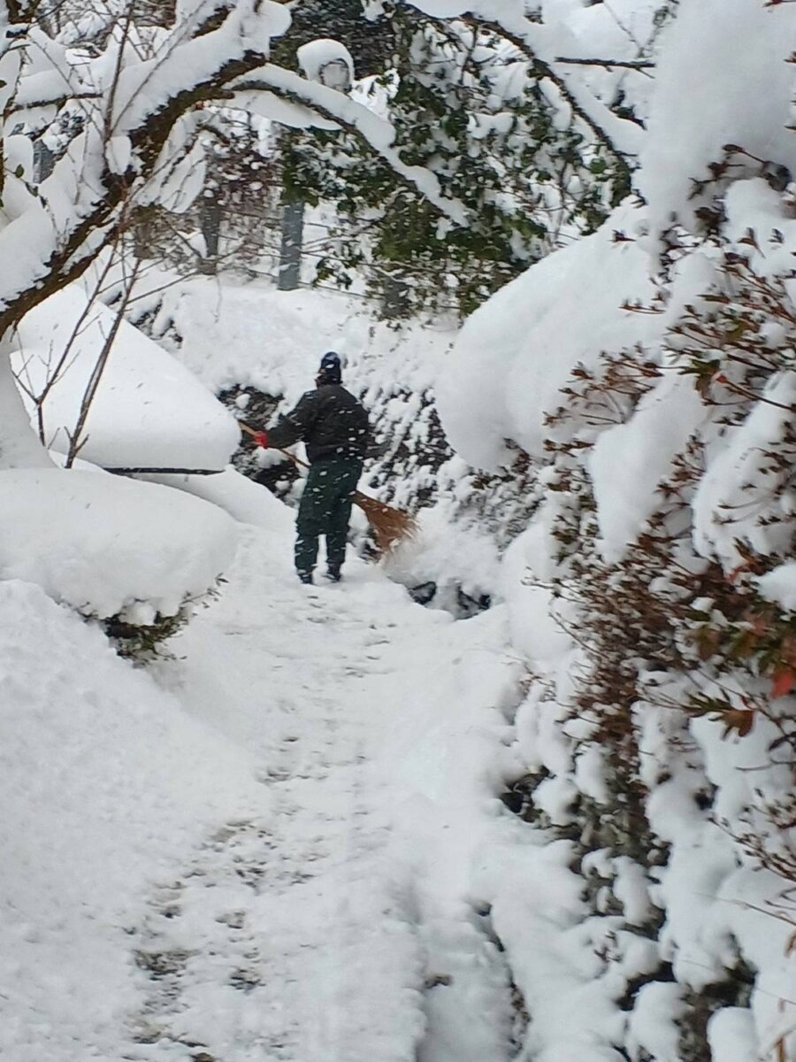 雪かきをしている父親です。