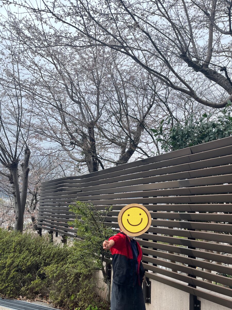 少しづつ花が咲いてきています☀️